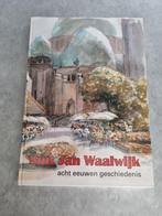 Boek SINT JAN  SHILDERIJ SINT JAN WAALWIJK, Boeken, Ophalen of Verzenden, 20e eeuw of later, Zo goed als nieuw