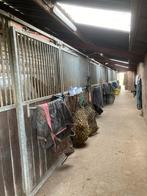 Paardenstal en ponystal te huur., Dieren en Toebehoren, Stalling en Weidegang, Weidegang