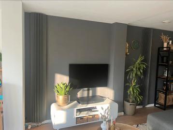 2x Jaga Iguana Circo design radiator | Antraciet beschikbaar voor biedingen