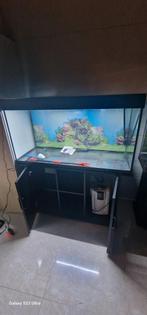 Aquarium met onderkast 260liter, Ophalen, Zo goed als nieuw