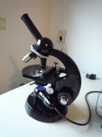 CARL ZEISS STANDARD JUNIOR -MICROSCOOP, Audio, Tv en Foto, Optische apparatuur | Microscopen, Zo goed als nieuw, 1000x of meer