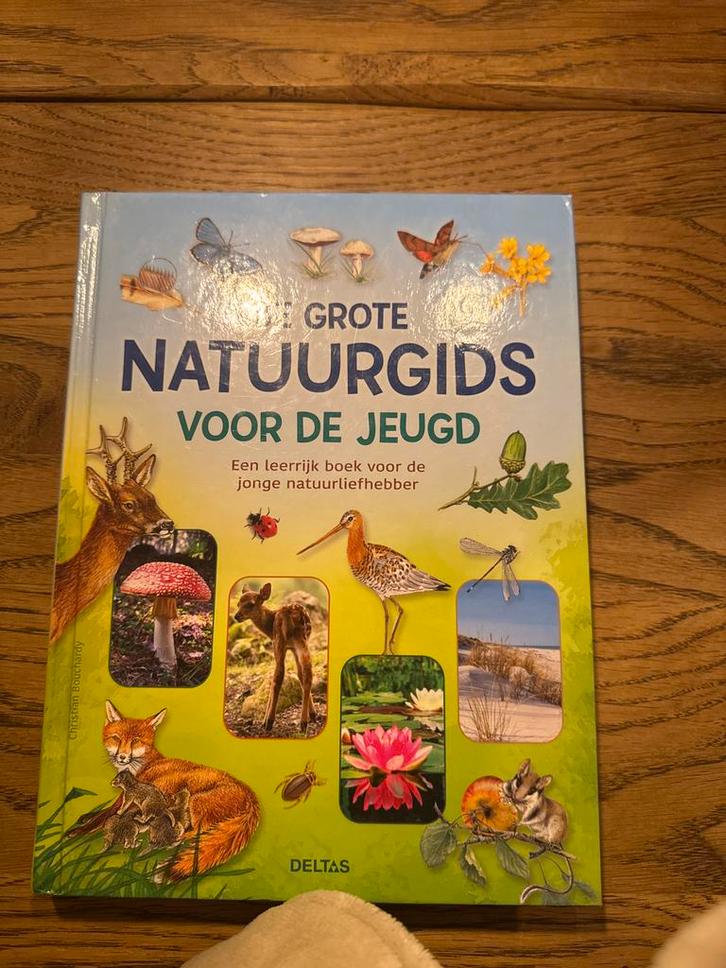 Christian Bouchardi - De grote natuurgids voor de jeugd, Boeken, Kinderboeken | Jeugd | onder 10 jaar, Zo goed als nieuw, Non-fictie