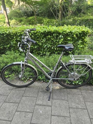 elektrische fiets heeft liefde nodig  beschikbaar voor biedingen