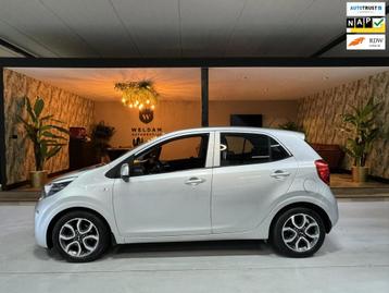 Kia Picanto 1.2 CVVT Garantie StuurVW StoelVW Cruise Clima N beschikbaar voor biedingen