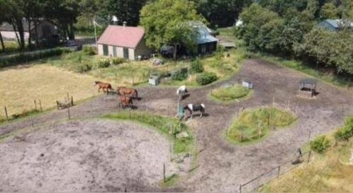 Plekje vrij op kleinschalige Paddock Paradise in Prinsenbeek, Dieren en Toebehoren, Stalling en Weidegang