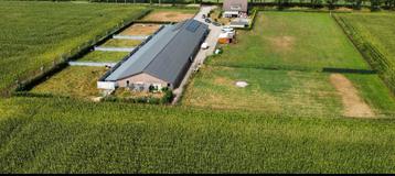 Hondenpension met nog plaatsen vrij voor nieuwe klanten… beschikbaar voor biedingen