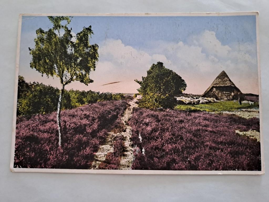 Op de hei, Ophalen of Verzenden