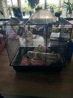 Hamster hok met buizen allerbij, Dieren en Toebehoren, Knaagdieren en Konijnen | Hokken en Kooien, Minder dan 60 cm, Minder dan 75 cm