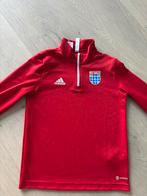 PEC Zwolle trui/shirt, Maat XS of kleiner, Ophalen of Verzenden, Zo goed als nieuw, Shirt