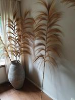 Grote pluimen - gras - boho - bohemian 240 hoog, Ophalen, Nieuw