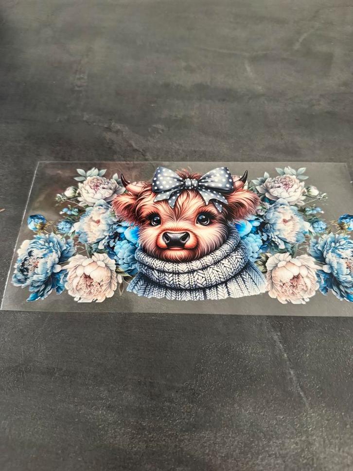 Leuke Stickers - Nieuw!, Hobby en Vrije tijd, Stickers en Plaatjes, Nieuw, Meerdere stickers, Ophalen of Verzenden