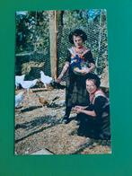 Staphorst, kippen voeren. Klederdracht.  Klf, Verzenden, Gelopen, Overijssel