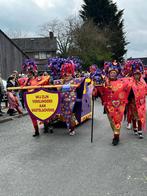Prachtige Carnaval Vlaggen Kostuums - Compleet!, Ophalen of Verzenden, Gedragen, Carnaval