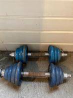 2 Verstelbare Dumbells 12,5 kg, Sport en Fitness, Fitnessmaterialen, Ophalen, Gebruikt, Dumbbell