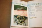 Courante insekten, Boeken, Dieren en Huisdieren, Ophalen of Verzenden, Gelezen, Katten
