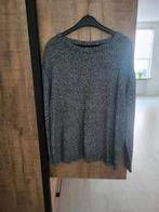 Trui, Ophalen of Verzenden, Zo goed als nieuw, Maat 42/44 (L)