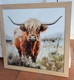 Schotse hooglander, Ophalen, Schilderij, Minder dan 50 cm