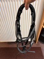 Te koop hoofdstel mt cob, Ophalen, Nieuw