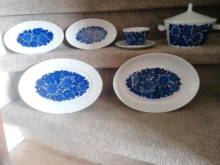 Porcelaine fine de boheme Blauw servies bloemen, Antiek en Kunst, Antiek | Servies los, Ophalen of Verzenden