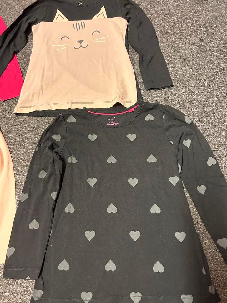 Leuke meisjes shirts, maat 110/116, Kinderen en Baby's, Kinderkleding | Overige, Gebruikt, Meisje, Ophalen of Verzenden