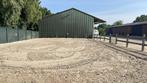 Te huur paardenstalling, Dieren en Toebehoren, Stalling en Weidegang, Weidegang