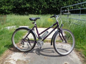 Giant Holywood street dames ATB -21 versn./49 frame /26 inch beschikbaar voor biedingen