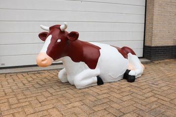 Roodbonte koe beschikbaar voor biedingen