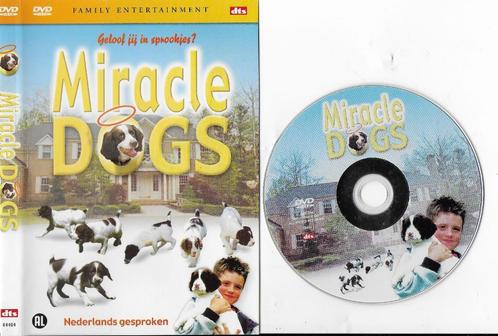Dvd miracle dogs ( geloof jij in sprookjes?), Cd's en Dvd's, Dvd's | Kinderen en Jeugd, Zo goed als nieuw, Film, Avontuur, Ophalen of Verzenden