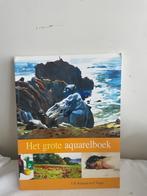 Het Grote Aquarel boek V.B.Ballestar en J.Vigué, Hobby en Vrije tijd, Ophalen of Verzenden, Zo goed als nieuw