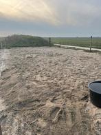 Binnenstal met paddock in eigen beheer in eemnes, Weidegang