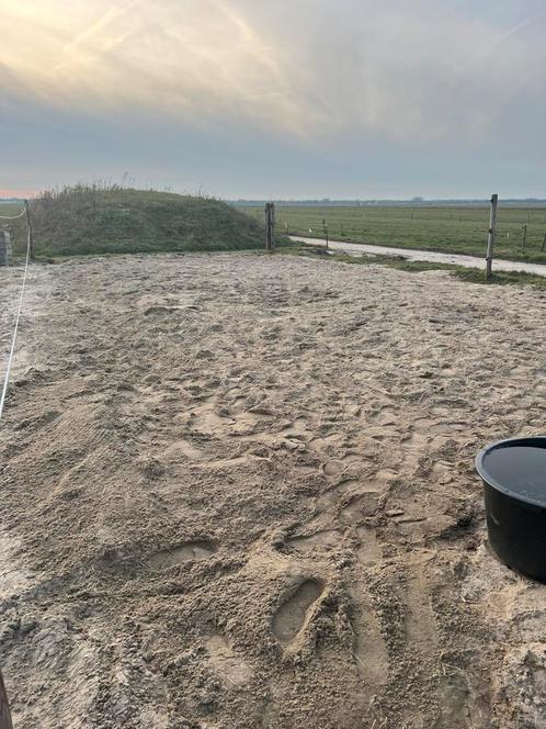 Binnenstal met paddock in eigen beheer in eemnes, Dieren en Toebehoren, Stalling en Weidegang, Weidegang