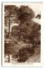 Wolfheze, Beekgezicht bij hotel Wolfheze, Verzenden, 1920 tot 1940, Ongelopen, Gelderland