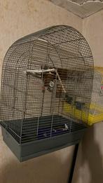 Vogelkooi, Dieren en Toebehoren, Ophalen, Gebruikt, Overige materialen, Vogelkooi