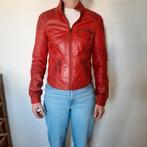 Gave rode leren jas, Kleding | Dames, Jassen | Zomer, Ophalen of Verzenden, Zo goed als nieuw, Sluisleder, Maat 36 (S)