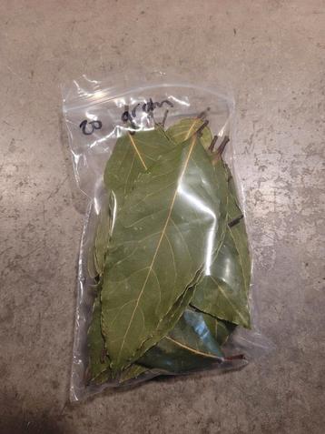 Gedroogde laurier 20 gram biologisch  beschikbaar voor biedingen