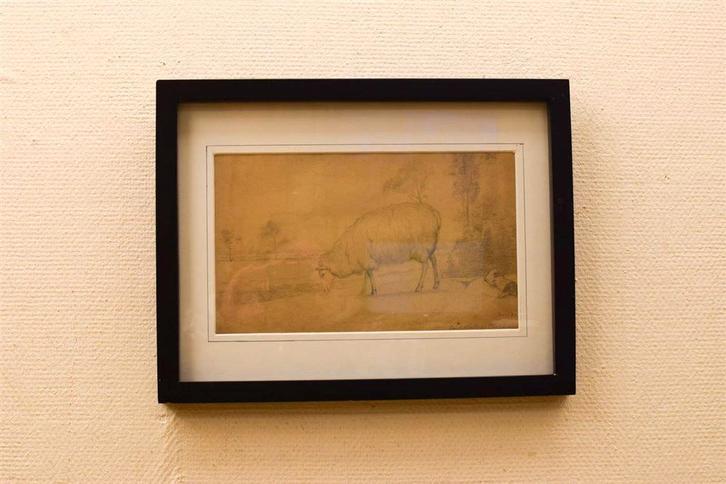 Prent / tekening van een Schaap 49012, Verzamelen, Ansichtkaarten | Dieren, Ongelopen, Voor 1920, Vogel, Ophalen of Verzenden