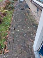 Gratis!!!!!  Ongeveer 6 m2 . Per direct! Gratis ophalen., Ophalen, Gebruikt, 5 tot 10 m²