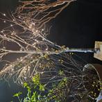 KUNST KERSTBOOM, Ophalen, Zo goed als nieuw