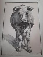 Originele litho Stier door J.H.L. de Haas, Antiek en Kunst, Kunst | Litho's en Zeefdrukken, Ophalen of Verzenden