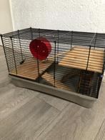 Dieren en toebehoren, Dieren en Toebehoren, Knaagdieren en Konijnen | Hokken en Kooien, Kooi, Minder dan 75 cm, Zo goed als nieuw
