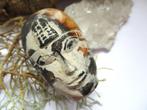 'antiek' - oud stenen hoofd uit Egypte, Ophalen of Verzenden, Gebruikt