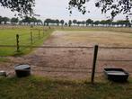 Stalling en weidegang aangeboden, Dieren en Toebehoren, Stalling en Weidegang, Weidegang