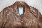 Prachtige Leren Ginger Jas (L) € 55,-, Kleding | Dames, Bruin, Maat 42/44 (L), Ginger, Ophalen of Verzenden