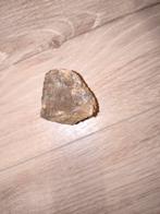 Fossiel, Verzamelen, Ophalen of Verzenden, Fossiel