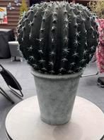 Kunst cactus ( hoogte 50 cm), Ophalen, Zo goed als nieuw