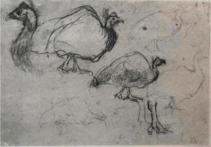 Jan Mankes 1889-1920 / Heliogravure Kalkoenen - Schets 1923, Antiek en Kunst, Kunst | Etsen en Gravures, Ophalen of Verzenden