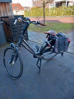 Gazelle Eclipse Damesfiets -, Ophalen, Versnellingen, Gazelle, 53 tot 56 cm