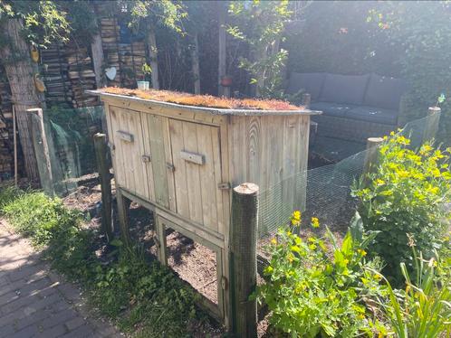 Kippenhok met ren en 3 krielkippen, Dieren en Toebehoren, Pluimvee | Toebehoren, Zo goed als nieuw, Kippenhok of Kippenren, Ophalen
