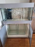 Zeeaquarium, Ophalen, Leeg aquarium