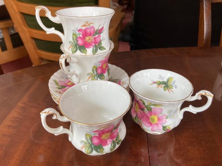 Royal Albert Prairie Rose Kopjes & Schotels (servies), Huis en Inrichting, Keuken | Servies, Zo goed als nieuw, Kop(pen) en/of Schotel(s)